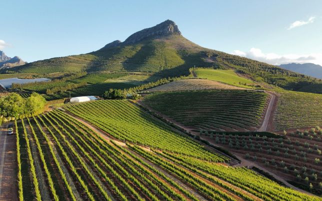 Stellenbosch Wine Tasting Tour